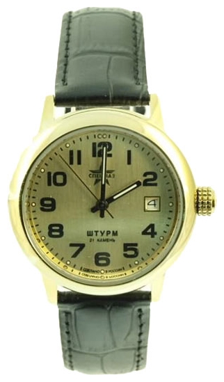 Wrist watch Specnaz S2069119-2414 for men - picture, photo, image