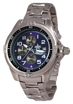 Wrist watch Specnaz S1060228-10 for Men - picture, photo, image