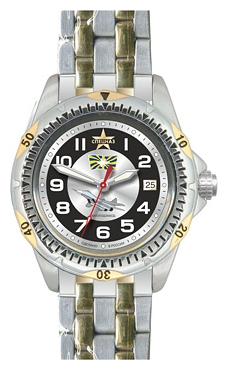 Wrist watch Specnaz S8211195-1612 for Men - picture, photo, image