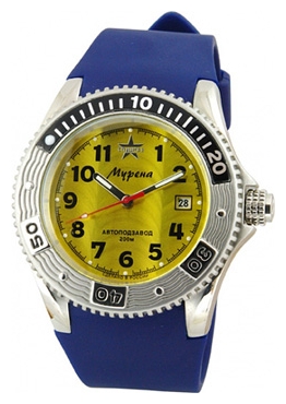 Wrist watch Specnaz S9010146-8215 for Men - picture, photo, image