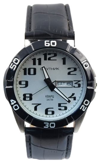 Wrist watch Sputnik M-400330/1.3 stal for Men - picture, photo, image