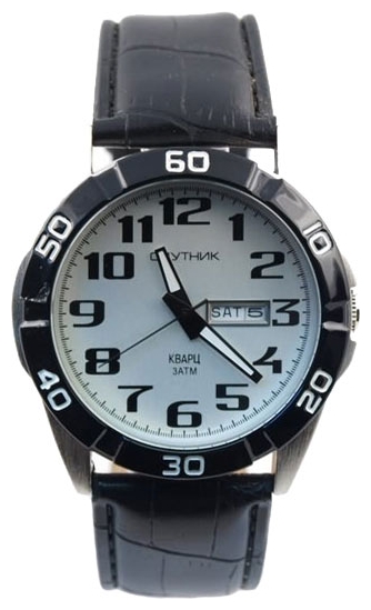 Wrist watch Sputnik M-400330/3 stal for men - picture, photo, image