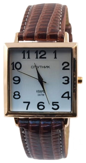 Wrist watch Sputnik M-807020/8 stal for Men - picture, photo, image