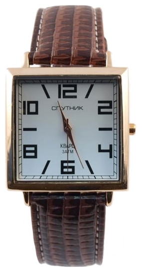 Wrist watch Sputnik M-807021/8 bel. for men - picture, photo, image