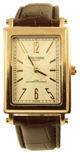 Wrist watch Sputnik M-8543/8 stal for Men - picture, photo, image
