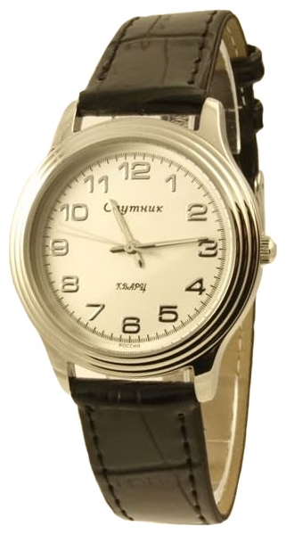 Wrist watch Sputnik M-8544/1 stal for Men - picture, photo, image