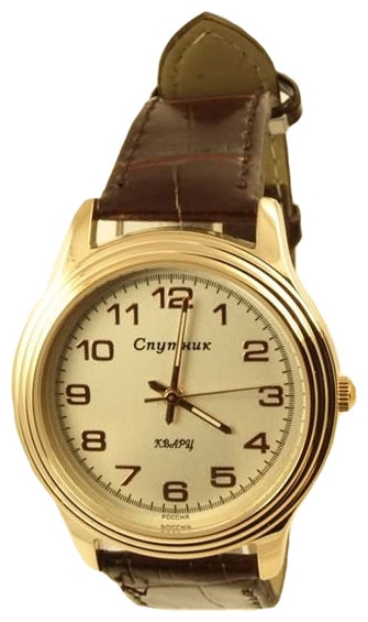 Wrist watch Sputnik M-8544/8 stal for Men - picture, photo, image