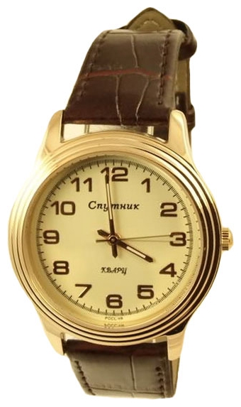 Wrist watch Sputnik M-8544/8 zhel. for Men - picture, photo, image