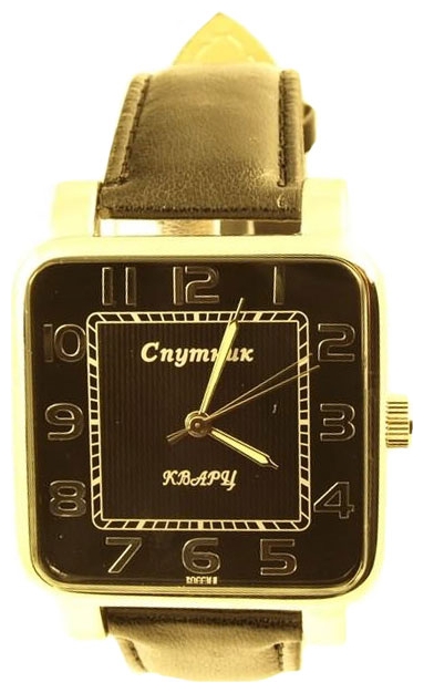 Wrist watch Sputnik M-8548/1 chern. for Men - picture, photo, image