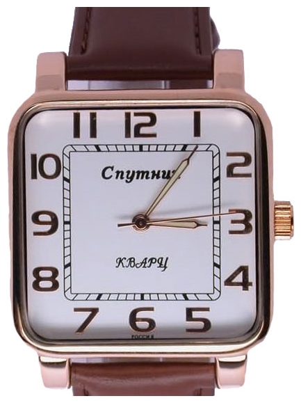 Wrist watch Sputnik M-8548/8 bel. for Men - picture, photo, image