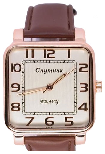 Wrist watch Sputnik M-8548/8 zhel. for Men - picture, photo, image