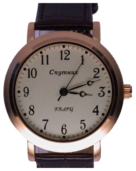Wrist watch Sputnik M-8549/8 zhel. for Men - picture, photo, image