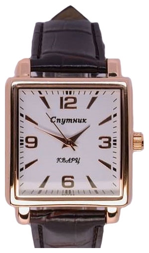 Wrist watch Sputnik M-8550/8 bel. for Men - picture, photo, image