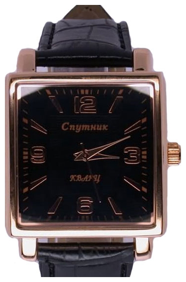 Wrist watch Sputnik M-8550/8 cher. for Men - picture, photo, image