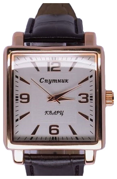 Wrist watch Sputnik M-8550/8 stal for Men - picture, photo, image