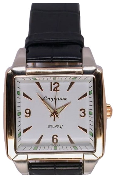 Wrist watch Sputnik M-8553/6 bel. for Men - picture, photo, image