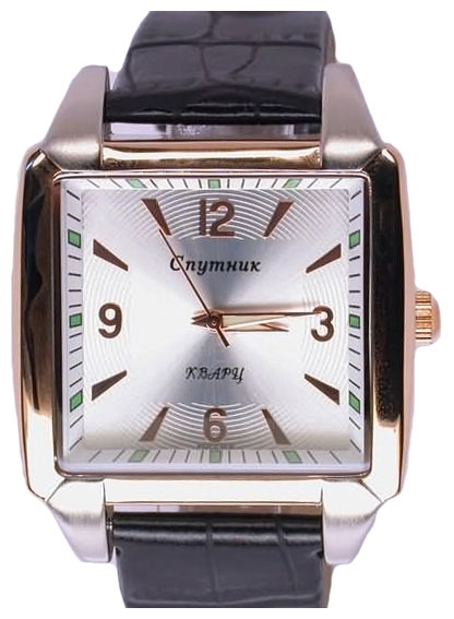 Wrist watch Sputnik M-8553/6 stal for Men - picture, photo, image