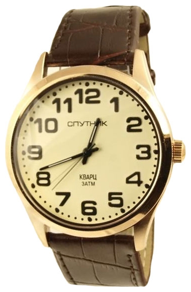 Wrist watch Sputnik M-8564/8 zhel. rem. for Men - picture, photo, image