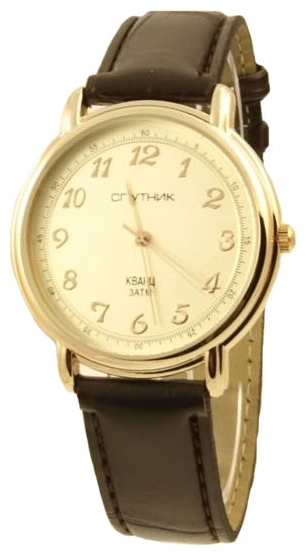 Wrist watch Sputnik M-856510/8 zhel. for Men - picture, photo, image