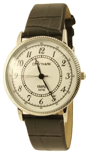 Wrist watch Sputnik M-856520/1 bel. for Men - picture, photo, image