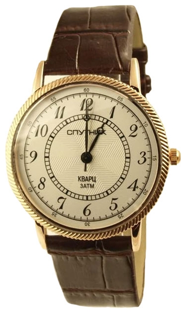 Wrist watch Sputnik M-856520/8 stal for men - picture, photo, image