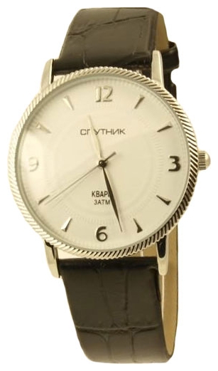 Wrist watch Sputnik M-856521/1 bel. for Men - picture, photo, image