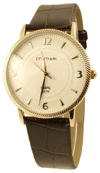 Wrist watch Sputnik M-856521/8 stal for Men - picture, photo, image