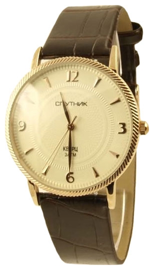Wrist watch Sputnik M-856521/8 zhel. for Men - picture, photo, image