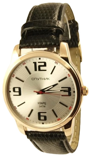 Wrist watch Sputnik M-856551/8 stal for Men - picture, photo, image