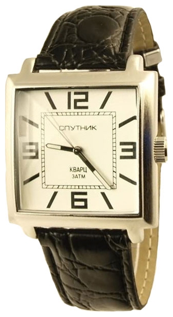 Wrist watch Sputnik M-856570/1 stal for Men - picture, photo, image