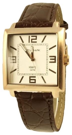 Wrist watch Sputnik M-856570/8 stal for Men - picture, photo, image