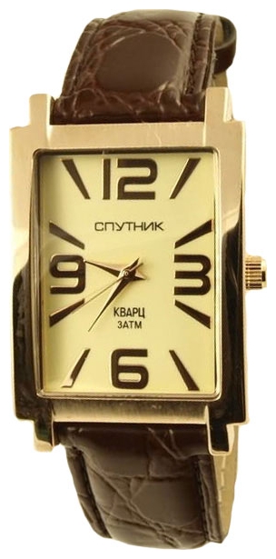 Wrist watch Sputnik M-856581/8 zhel. for Men - picture, photo, image