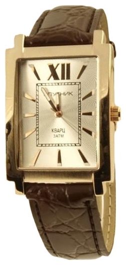 Wrist watch Sputnik M-856585/8 stal for Men - picture, photo, image