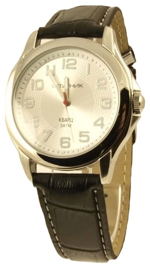 Wrist watch Sputnik M-856600/1 stal for Men - picture, photo, image