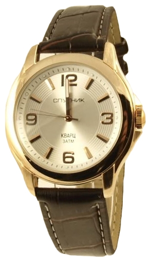 Wrist watch Sputnik M-856601/8 stal for Men - picture, photo, image