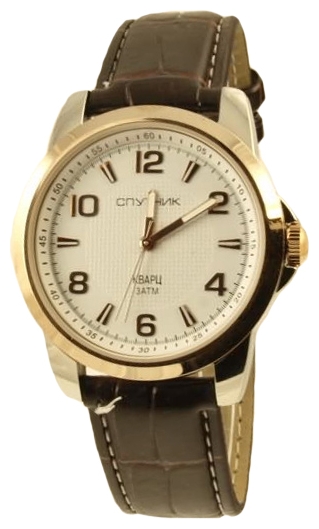 Wrist watch Sputnik M-856610/6 bel. for Men - picture, photo, image