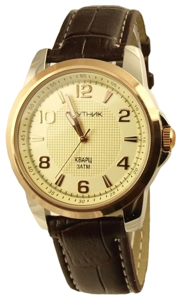 Wrist watch Sputnik M-856610/6 zhel. for Men - picture, photo, image