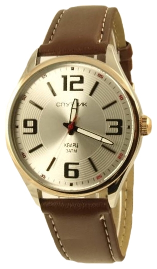 Wrist watch Sputnik M-856621/6 stal for Men - picture, photo, image