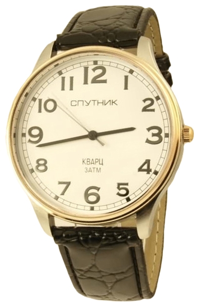 Wrist watch Sputnik M-856650/6 bel. for Men - picture, photo, image