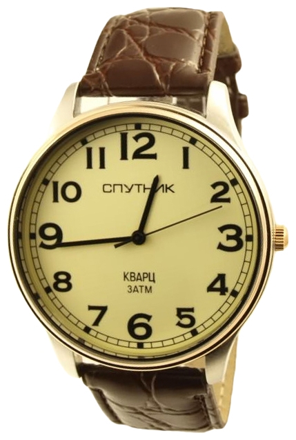 Wrist watch Sputnik M-856650/6 zhel. for men - picture, photo, image