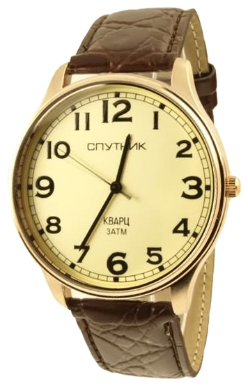 Wrist watch Sputnik M-856650/8 zhel. for Men - picture, photo, image