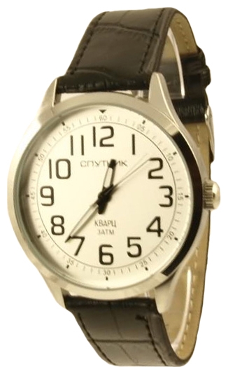 Wrist watch Sputnik M-856690/1 stal for Men - picture, photo, image