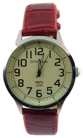 Wrist watch Sputnik M-856690/1 zhel. for men - picture, photo, image