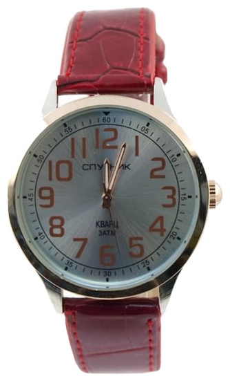 Wrist watch Sputnik M-856690/6 stal for men - picture, photo, image
