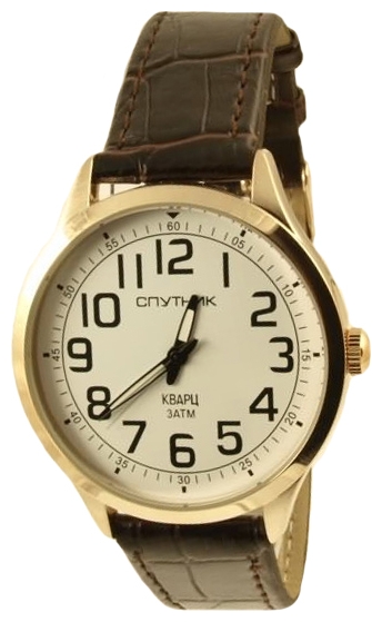 Wrist watch Sputnik M-856690/8 bel. for Men - picture, photo, image