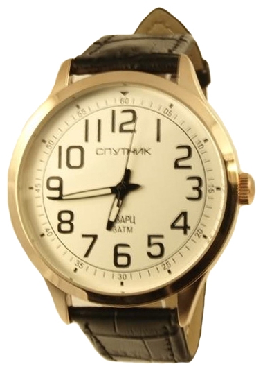 Wrist watch Sputnik M-856690/8 stal for men - picture, photo, image