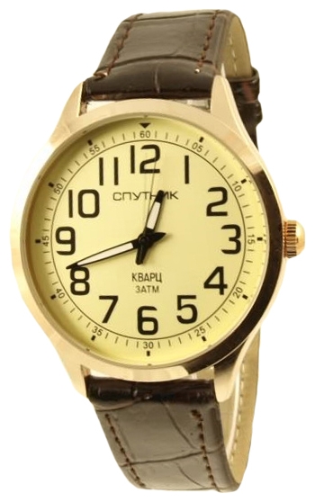 Wrist watch Sputnik M-856690/8 zhel. for Men - picture, photo, image