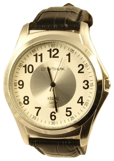 Wrist watch Sputnik M-856700/1 bel.+stal for Men - picture, photo, image