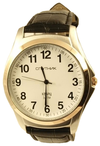 Wrist watch Sputnik M-856700/6 bel. for men - picture, photo, image