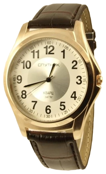 Wrist watch Sputnik M-856700/8 bel.+stal for men - picture, photo, image